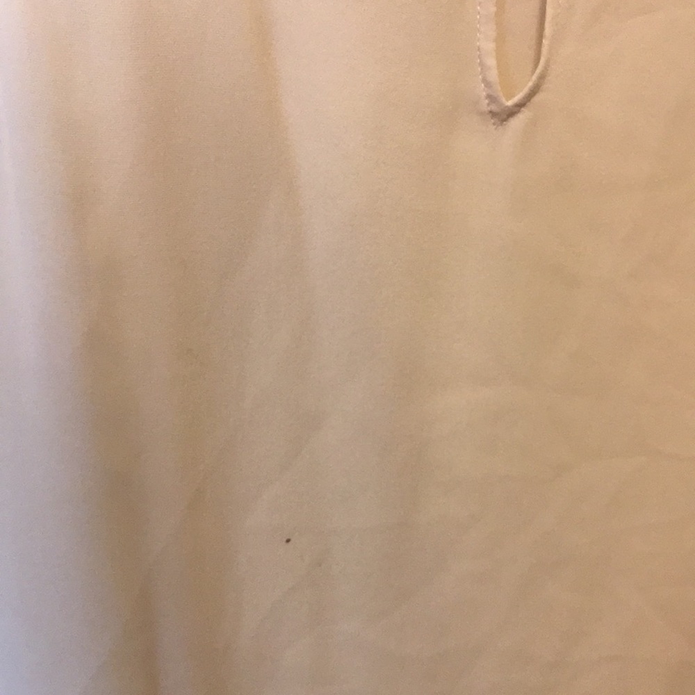 Diamond snake Haute Hippie sheer top - Picture 5 of 5